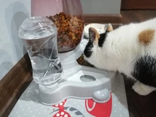 Alimentador automático de mascotas, para perros y gatos, depósito de comida de 2.2L y de agua de 528ml, suministro lento de comida