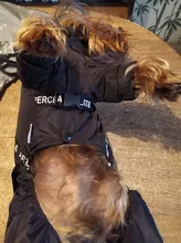 Hoodies Coat Clothing Puppy-Outfit Pet-Dog-Jacket HOOPET Dogs Chihuahua Winter Warm 