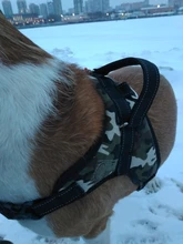 Perro suministros nailon mascota perros arnés Collar de Pet de alta calidad productos harnais pour chie para grandes Grande Mediano pequeño arnés de perro