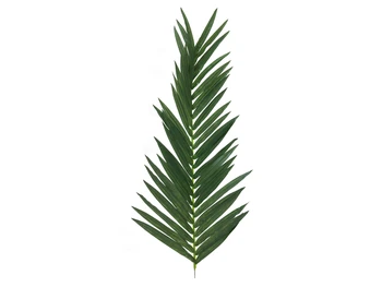 

EUROPALMS Coconut king palm branch, artificial, 150cm