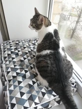 Pet-Bed-Mats House Bench Pet-Kennel Dog-Bed Dogs Large Sofa Puppy Cats Kitten Small 