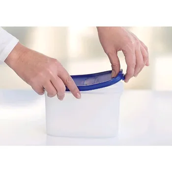 

Tupperware Oval 2 1,1 L Storage Container