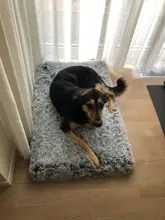 Pet-Mattress Cushion Dog-Bed Orthopedic-Foam Dogs Dog-Mats/removable-Cover Small Large
