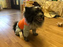 HOOPET-chubasquero para perro, mono impermeable para perros, abrigo para mascota, perro pequeño, gato, Chihuahua, chaqueta impermeable