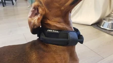 Collar táctico para perro, conjunto de correa ajustable para mascotas, entrenamiento militar al aire libre, caza, liberación rápida, perros medianos y grandes, Pastor Alemán
