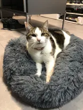 Cushion Nest Sofa Pet-Products Dogs-Basket Cat-House Animals Sleeping Cat Round Plush