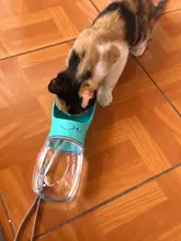 Water-Bottle Pet-Products Travel-Cups Outdoor-Feeder Dogs Portable Large 350/550ML Small
