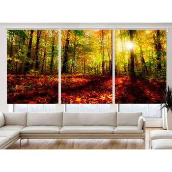 

Blind Iroa Digital Threefold Landscape T010! ROLLER BLINDS TRANSLUCENT! (3 PCs/100X170)