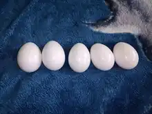 Eggs-Jigsaw-Toys Math-Toys Montessori Smart-Eggs Learning Education Random-Colors Children
