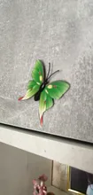 Wedding-Decoration House Artificial Butterfly Plastic 12pcs 8-Colors 5cm Scrapbooking