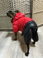 Ropa de invierno para mascotas, chaqueta cálida gruesa para perros pequeños y grandes, abrigo impermeable para cachorros, Chihuahua, Pug, Bulldog francés