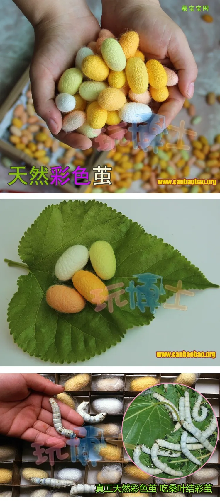 T27qftXedaXXXXXXXX_!!89486811