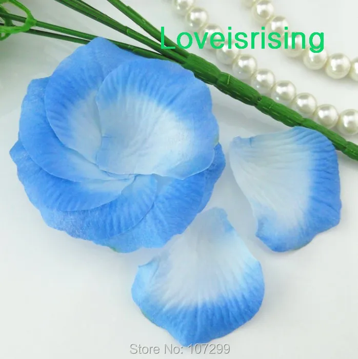 blue-white_