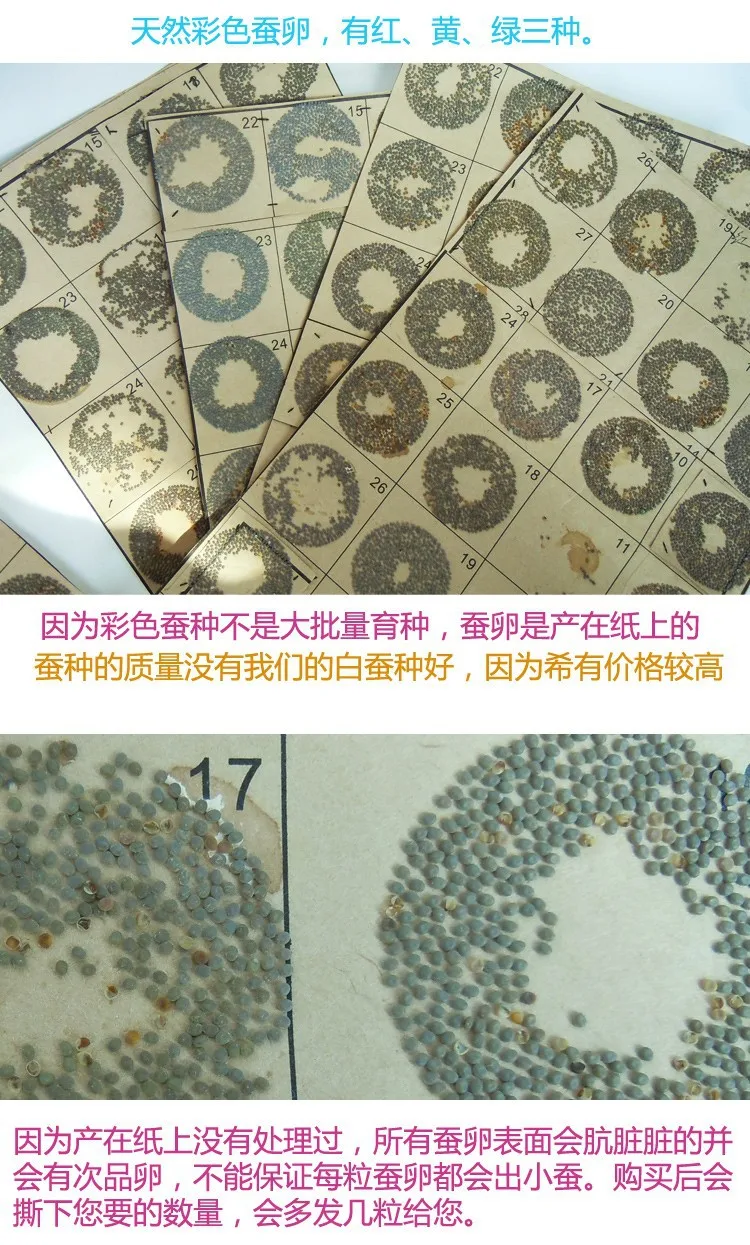 T2lIftXeFaXXXXXXXX_!!89486811 (1)