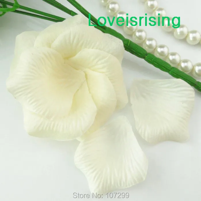 ivory_