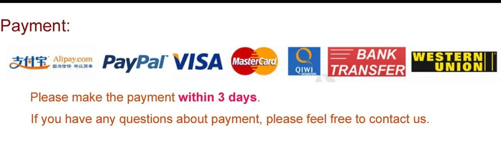 1 Payment