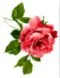 d12575fab1ca9aef5db711067f4fb17c_meitu_1