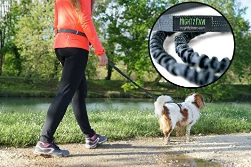 mighty paw dog leash