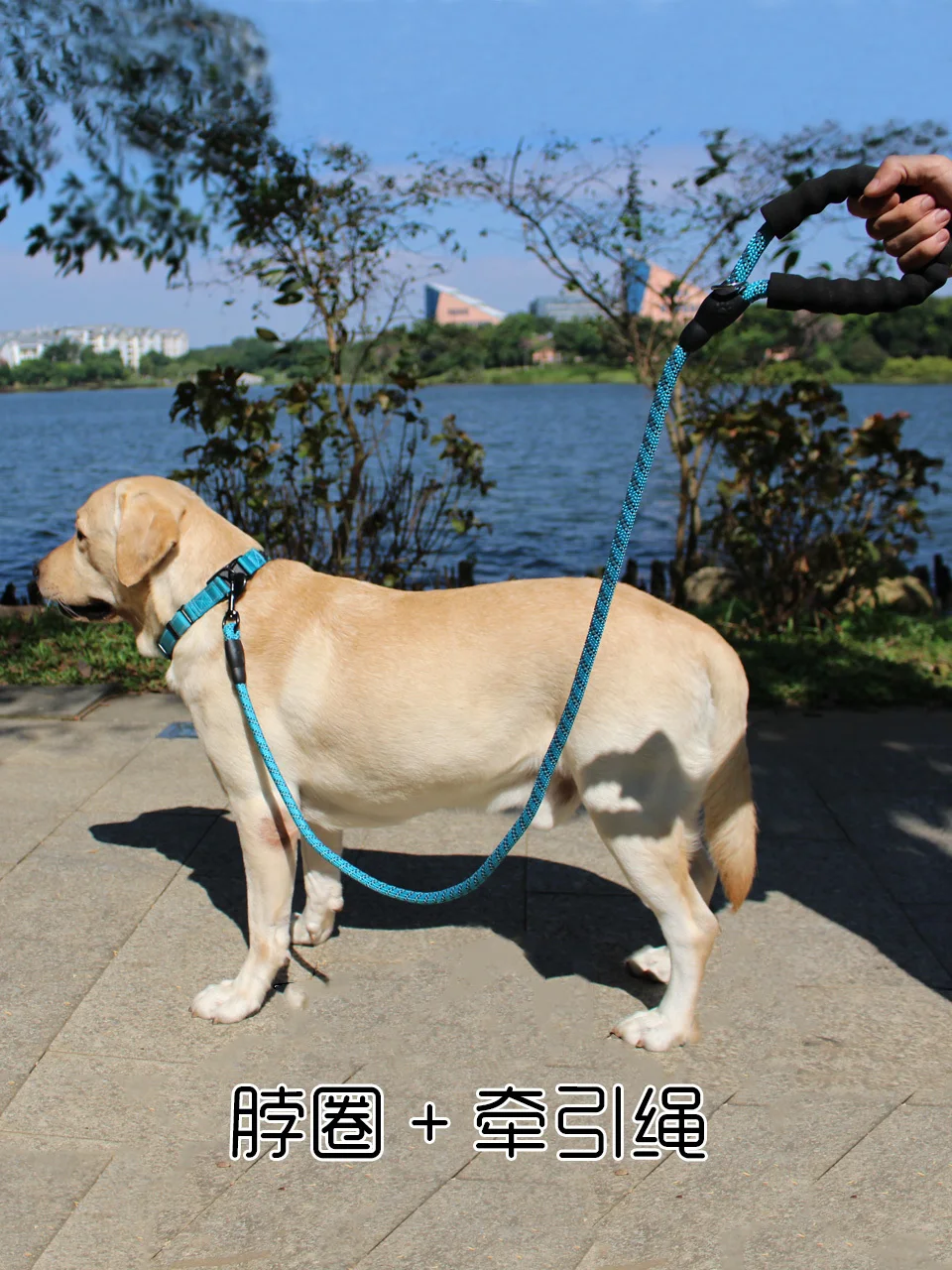 

New type pet die-casting traction rope explosion-proof nylon small, medium and large collar running dog chain.