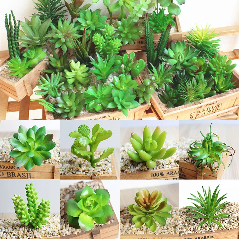 

Beautiful Scindapsus Plant Garden DIY Fashion Mini Plastic Succulents Flower Arrangement Potted Plant Micro Landscape