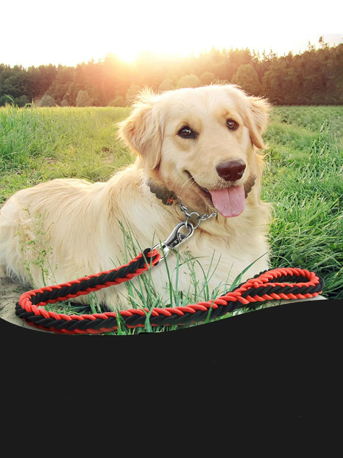 

New Popular In The Large Nylon Dog leash Collar perro Traction Rope Supplies Automatic Adjustment With P Chain Free