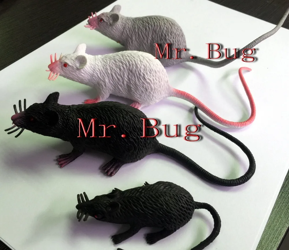 Rat Mouse