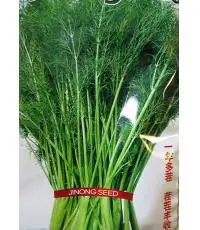 

Cutter anise bonsais selling organic vegetable bonsai 100pcs