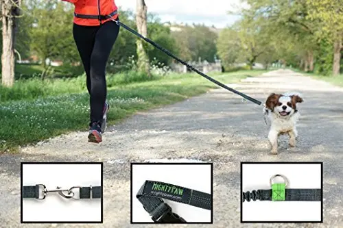 mighty paw dog leash