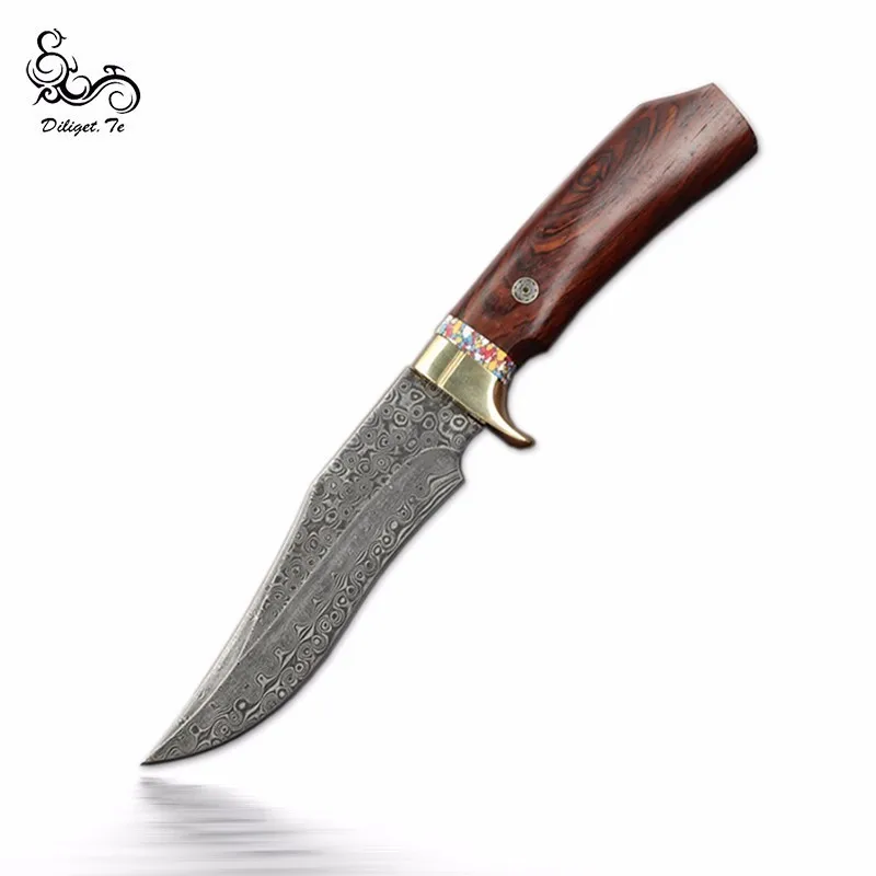 

Diliget.Te Mantis Damascus Steel Pocket Collection Hunting Knife Survival Tactical Survival Knives Military Camping Tool