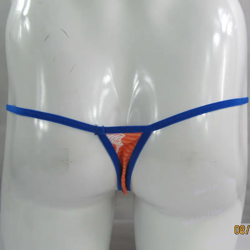 G798C-seahorse-b_new(2)