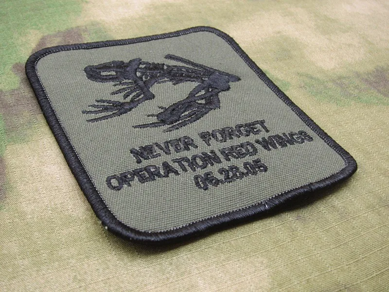 Зеленый DEVGRU NSWDG никогда не забывайте Управление Red Wings Военная Униформа Тактическая Мораль Вышивка патч b3317