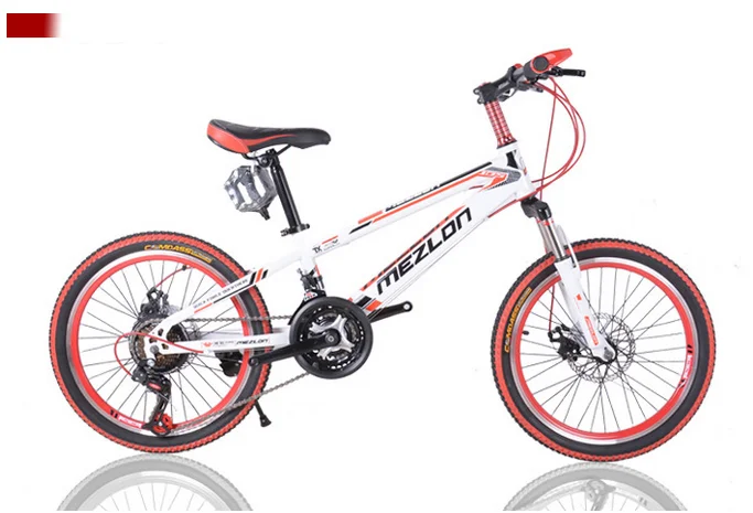 Flash Deal Mountain Bike 20 Inch Double Disc Brake 21 Speed 30 Spoke Wheel Bicycle Multi-Color Optional 1