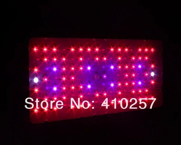 2013 Лучший sekker черная звезда Led grow light 240 Вт(80*3 Вт), высокое качество с 3 лет гарантии, дропшиппинг