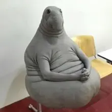 E***a