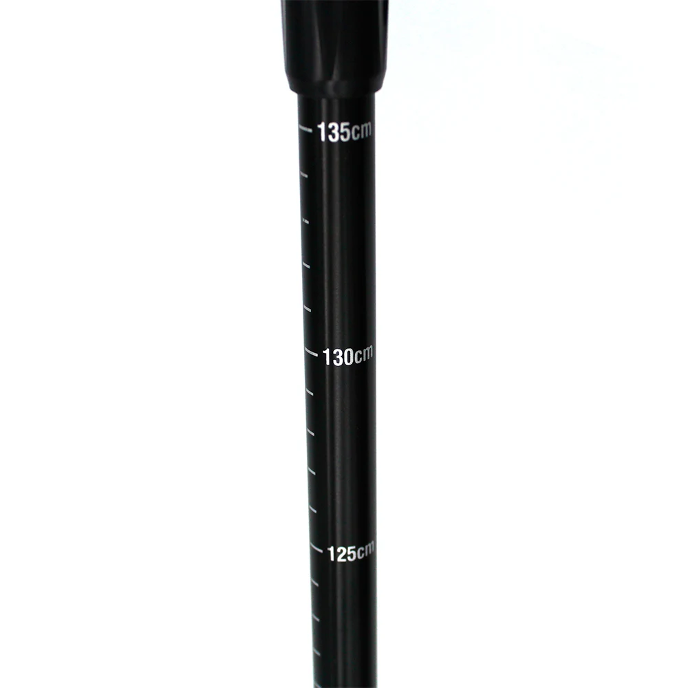 Палки для скандинавской ходьбы Basic Walker, Gess