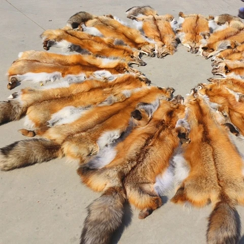 

Red fox wholesale skin for blanket/Top quality natural color fox fur skin