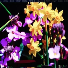 256*128 мм 64*32 пикселей углублённые встраиваемые дисплея СИД крытый 3in1 SMD RGB полноцветный P4 Светодиодный модуль для P4 СИД дисплей экран