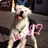 L***z