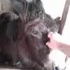 t***t