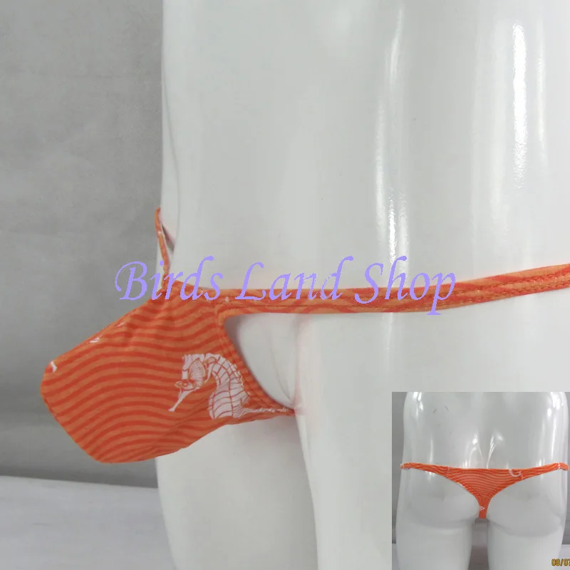 G403C-Seahorse-1-w
