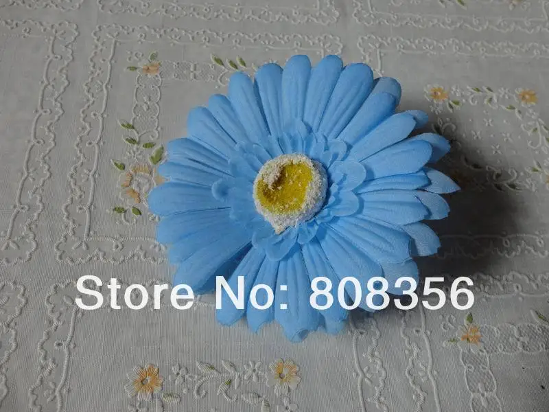 F021.JPG