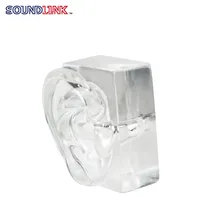 Clear Acrylic Ear Model Demo Models for Hearing Aid Dispensers and Clinic Demonstration Display