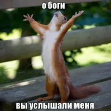  ***v