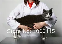 6106-05484863fw.jpg
