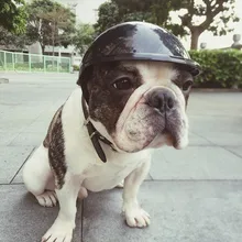 Helmet Hat Cap Dog Cat Costume Accessory Pet Supplies motorcycle ABS Plastic dog toy Helmet cap three sizes Pet Product