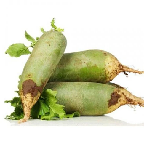 100pcs Rare Green Radish Seeds, Chinese Luobo Edible Root Vegetable