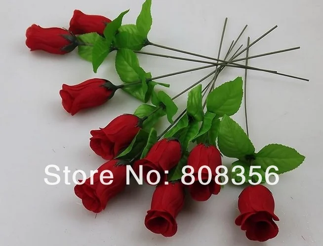 Yi 01.jpg