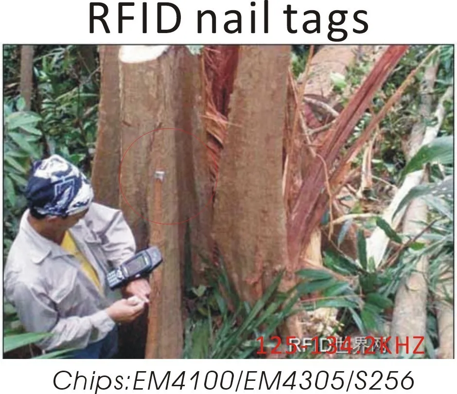 10 шт./лот ISO14443A S50 13,56 МГц NFC RFID бирки для ногтей бесконтактная смарт-карта для управления деревом/Система охранного патруля