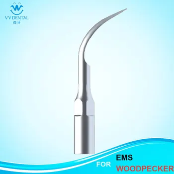 

P1, (EMS:PL3 ), DENTAL PERIO TIP, ORAL HYGIENE, TEETH WHITENING, DENTAL EQUIPMENT, DENTAL INSTRUMENT, ORAL CARE