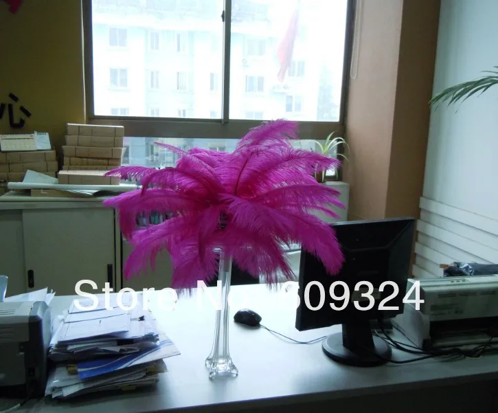 fushia2.jpg